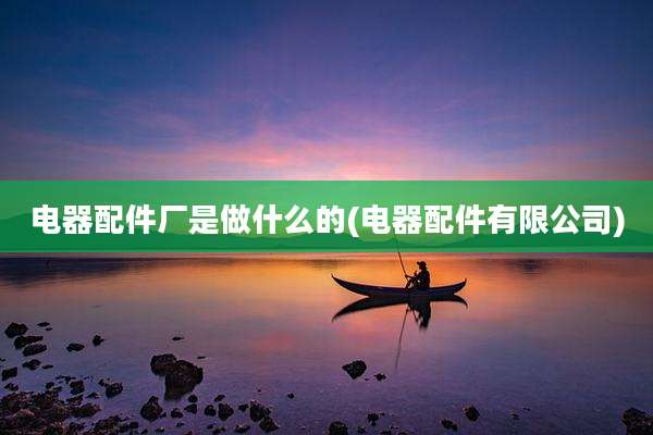 电器配件厂是做什么的(电器配件有限公司)