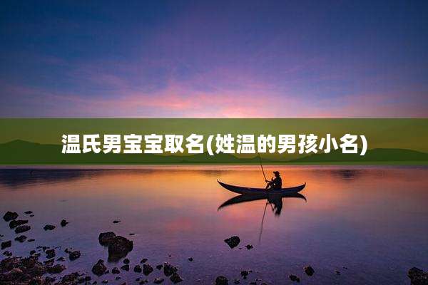 温氏男宝宝取名(姓温的男孩小名)