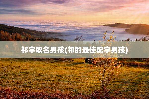祁字取名男孩(祁的最佳配字男孩)