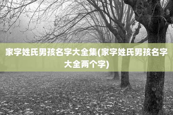 家字姓氏男孩名字大全集(家字姓氏男孩名字大全两个字)