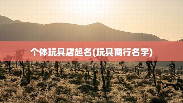 个体玩具店起名(玩具商行名字)