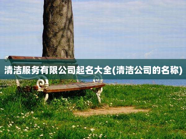 清洁服务有限公司起名大全(清洁公司的名称)