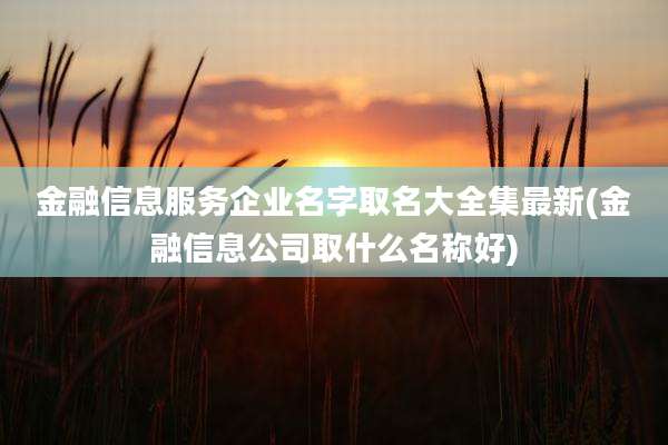 金融信息服务企业名字取名大全集最新(金融信息公司取什么名称好)