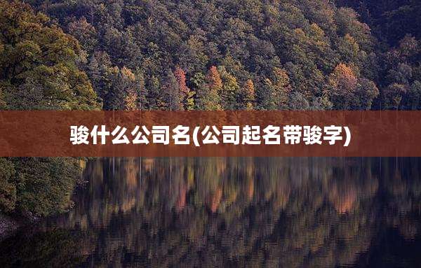 骏什么公司名(公司起名带骏字)