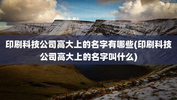 印刷科技公司高大上的名字有哪些(印刷科技公司高大上的名字叫什么)