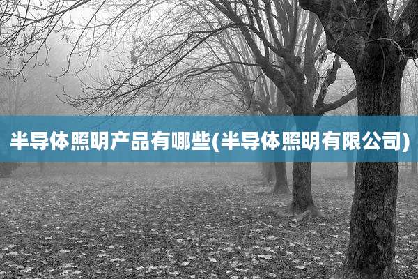 半导体照明产品有哪些(半导体照明有限公司)