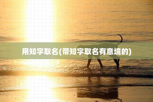 用知字取名(带知字取名有意境的)