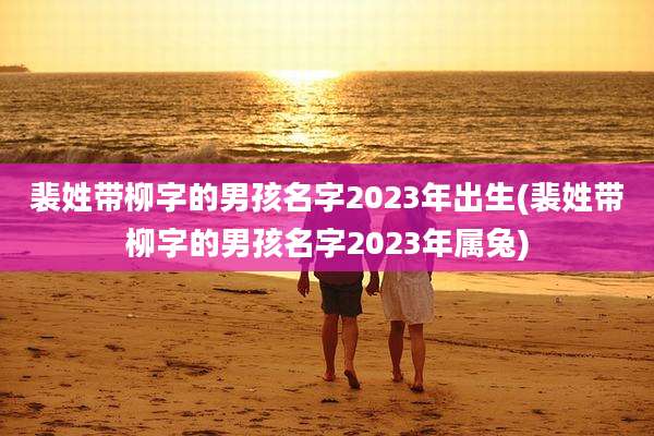 裴姓带柳字的男孩名字2023年出生(裴姓带柳字的男孩名字2023年属兔)