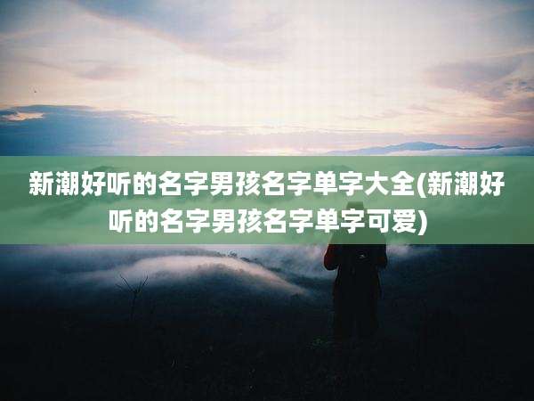 新潮好听的名字男孩名字单字大全(新潮好听的名字男孩名字单字可爱)