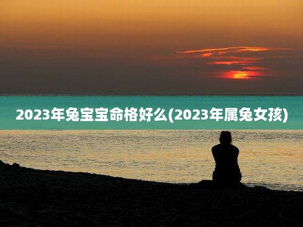 2023年兔宝宝命格好么(2023年属兔女孩)
