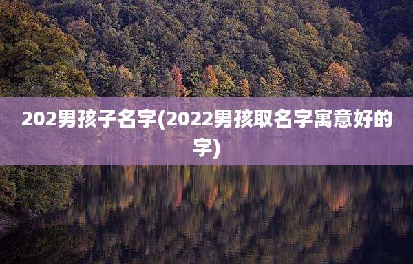 202男孩子名字(2022男孩取名字寓意好的字)