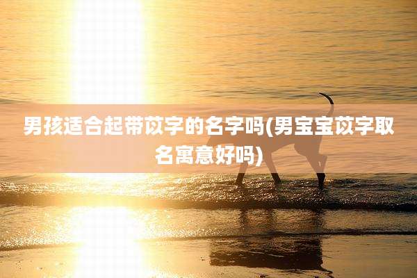 男孩适合起带苡字的名字吗(男宝宝苡字取名寓意好吗)