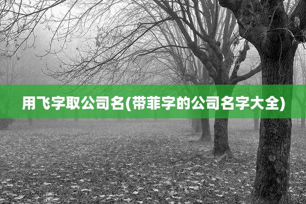 用飞字取公司名(带菲字的公司名字大全)