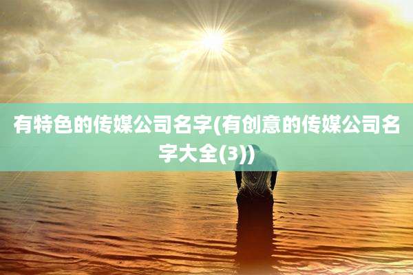 有特色的传媒公司名字(有创意的传媒公司名字大全(3))