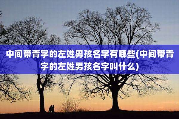 中间带青字的左姓男孩名字有哪些(中间带青字的左姓男孩名字叫什么)
