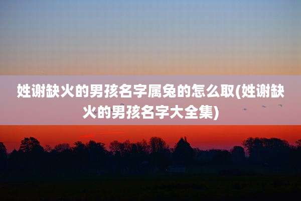 姓谢缺火的男孩名字属兔的怎么取(姓谢缺火的男孩名字大全集)