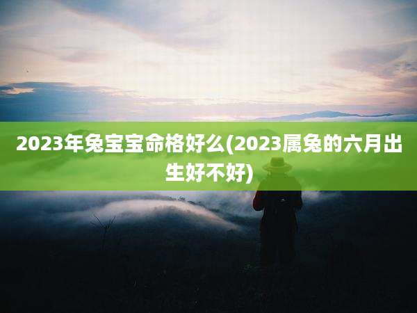 2023年兔宝宝命格好么(2023属兔的六月出生好不好)