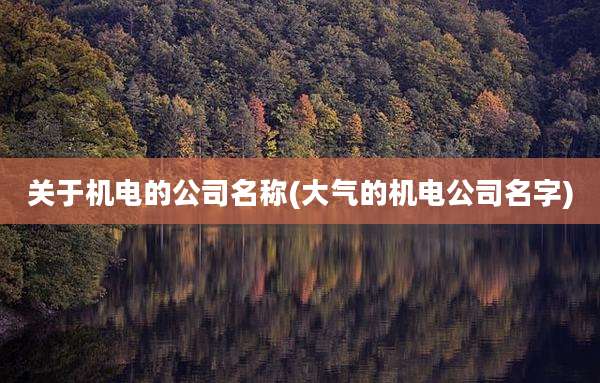 关于机电的公司名称(大气的机电公司名字)