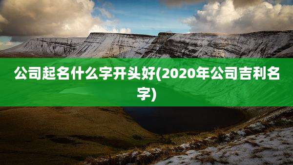公司起名什么字开头好(2020年公司吉利名字)