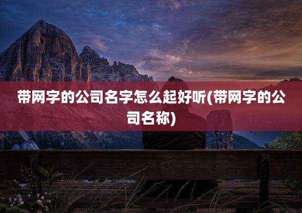 带网字的公司名字怎么起好听(带网字的公司名称)