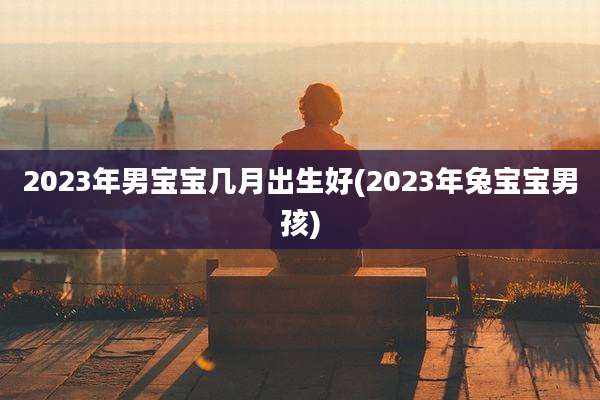 2023年男宝宝几月出生好(2023年兔宝宝男孩)