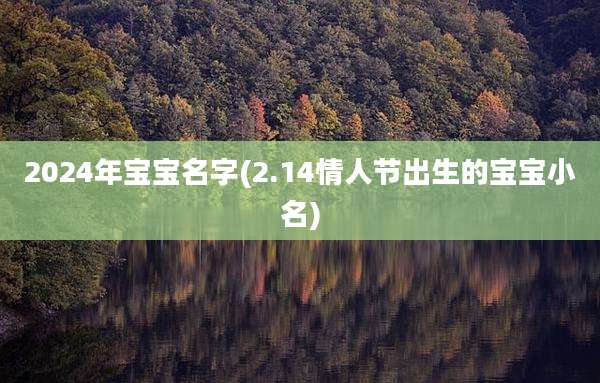 2024年宝宝名字(2.14情人节出生的宝宝小名)