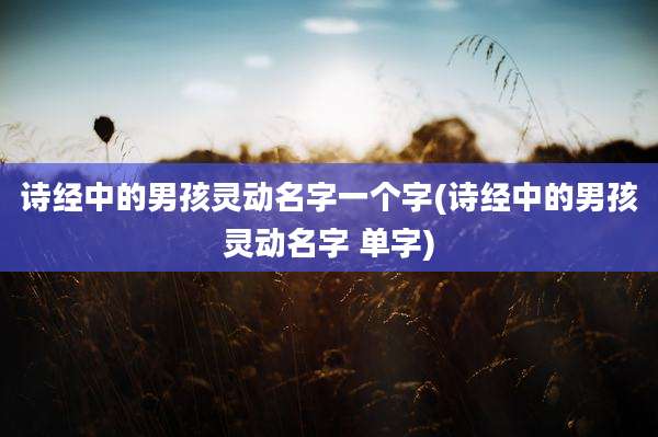 诗经中的男孩灵动名字一个字(诗经中的男孩灵动名字 单字)