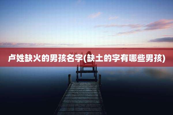 卢姓缺火的男孩名字(缺土的字有哪些男孩)