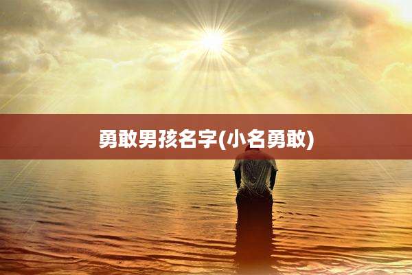 勇敢男孩名字(小名勇敢)