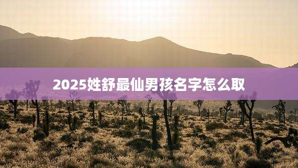 2025姓舒最仙男孩名字怎么取