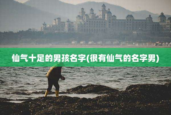 仙气十足的男孩名字(很有仙气的名字男)