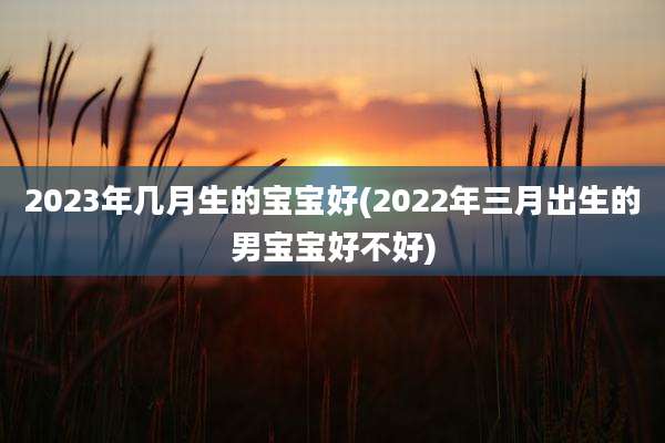 2023年几月生的宝宝好(2022年三月出生的男宝宝好不好)