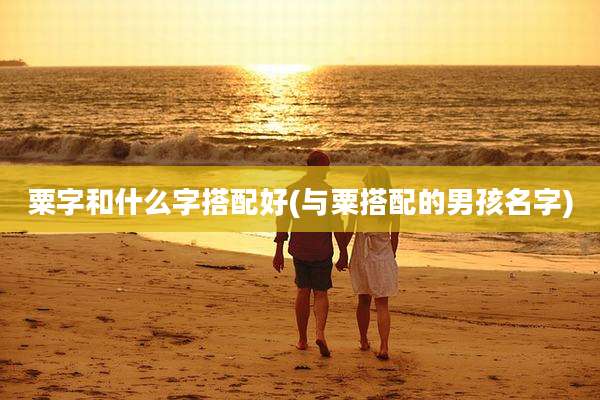 粟字和什么字搭配好(与粟搭配的男孩名字)