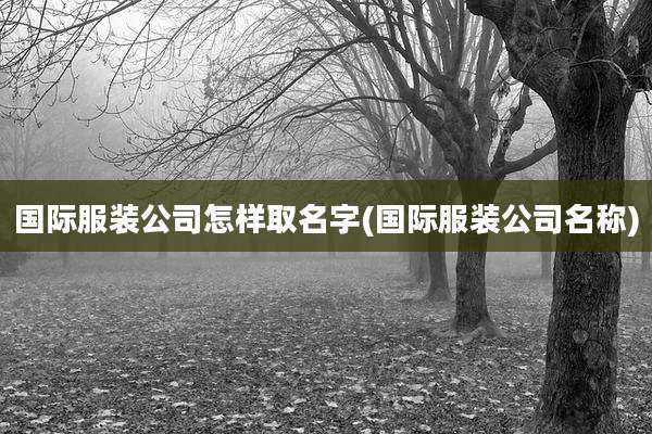 国际服装公司怎样取名字(国际服装公司名称)