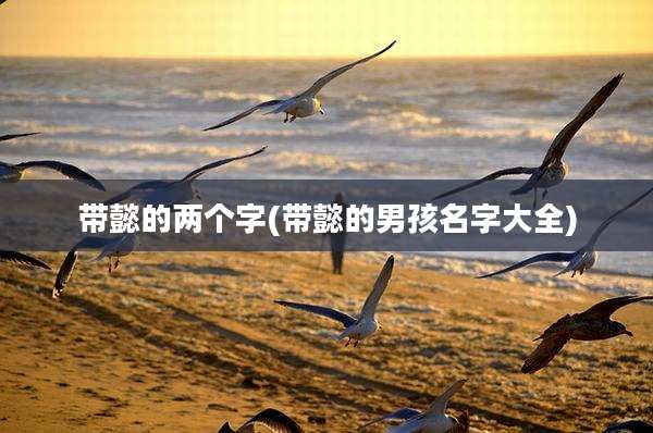 带懿的两个字(带懿的男孩名字大全)