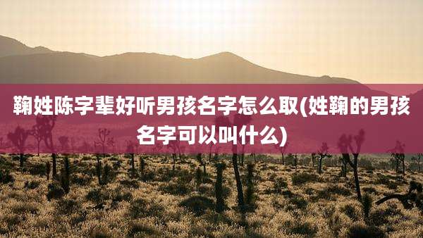 鞠姓陈字辈好听男孩名字怎么取(姓鞠的男孩名字可以叫什么)