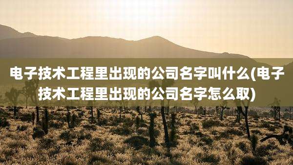 电子技术工程里出现的公司名字叫什么(电子技术工程里出现的公司名字怎么取)