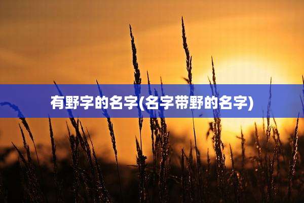 有野字的名字(名字带野的名字)
