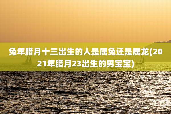兔年腊月十三出生的人是属兔还是属龙(2021年腊月23出生的男宝宝)
