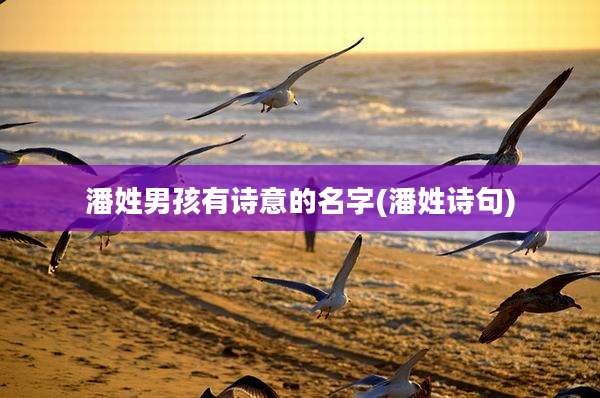 潘姓男孩有诗意的名字(潘姓诗句)