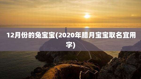 12月份的兔宝宝(2020年腊月宝宝取名宜用字)