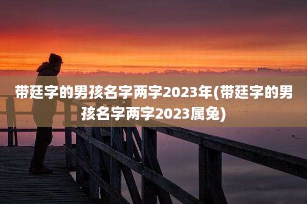 带廷字的男孩名字两字2023年(带廷字的男孩名字两字2023属兔)