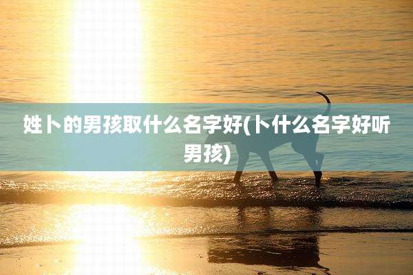 姓卜的男孩取什么名字好(卜什么名字好听男孩)