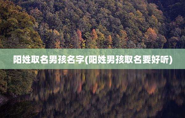 阳姓取名男孩名字(阳姓男孩取名要好听)