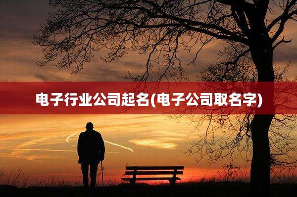 电子行业公司起名(电子公司取名字)