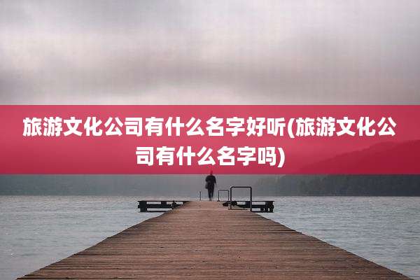 旅游文化公司有什么名字好听(旅游文化公司有什么名字吗)