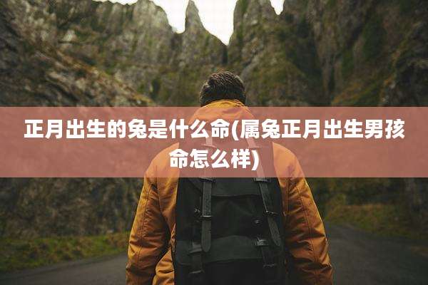 正月出生的兔是什么命(属兔正月出生男孩命怎么样)