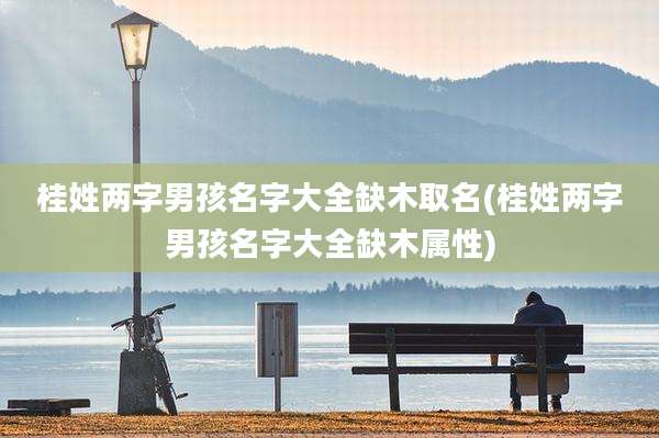 桂姓两字男孩名字大全缺木取名(桂姓两字男孩名字大全缺木属性)