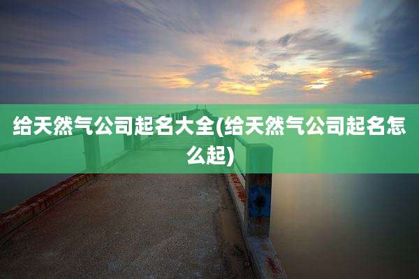 给天然气公司起名大全(给天然气公司起名怎么起)