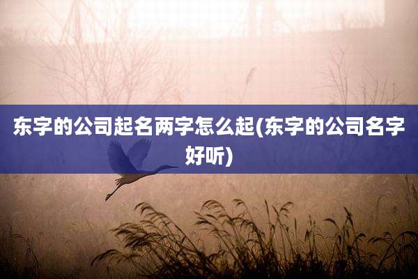 东字的公司起名两字怎么起(东字的公司名字好听)
